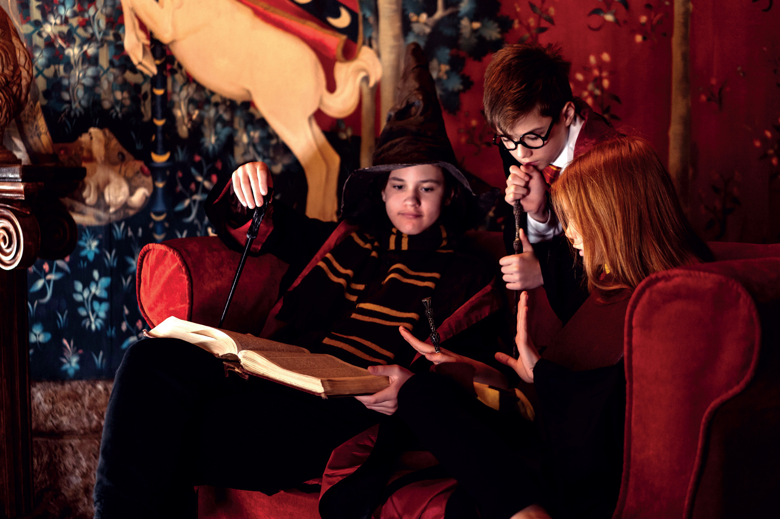 Harry Potter Bogklub 5.-6. klasse