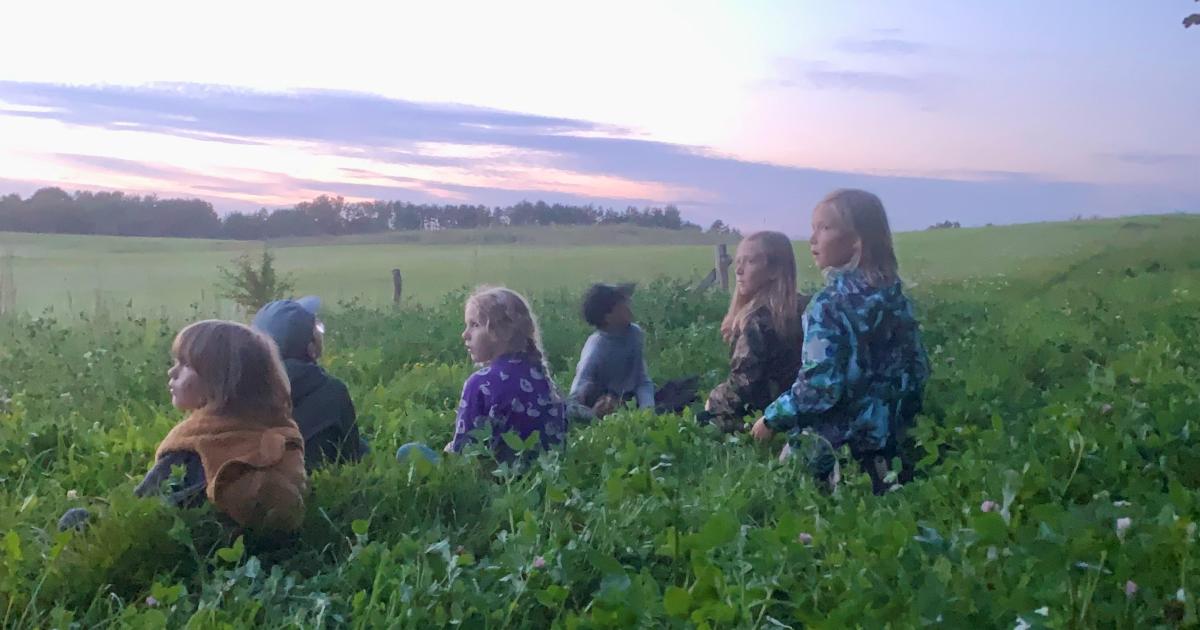 Flagermusenes forunderlige verden
