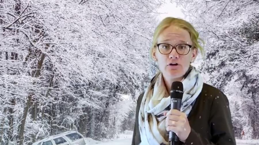 Reporter Nynne i snevejr